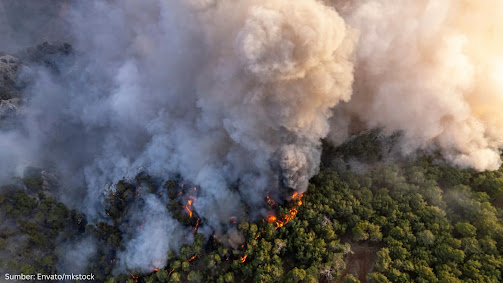 Indonesia's Resilience Against Ecological Disasters