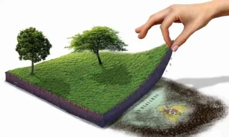 The Passing of the Agrarian Law: How Should We Interpret It?