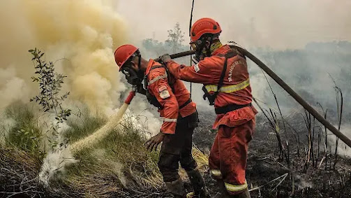 On Fire: Indonesias Unwavering Maxima