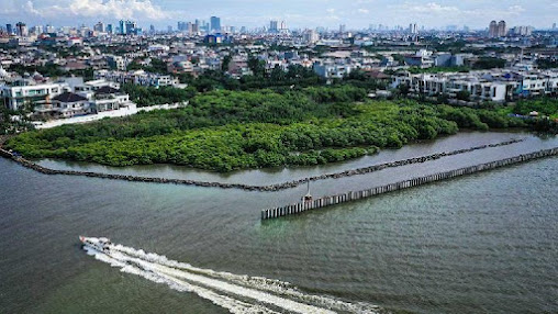 Safeguarding Pantura: Harmonizing Economic Growth and Coastal Resilience
